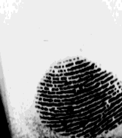 Finger Print Scanner