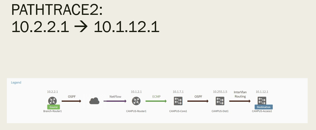Network Programmability