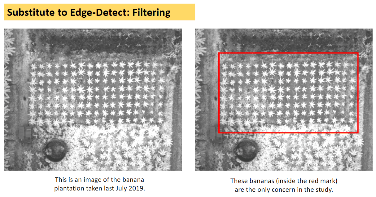 NDVI SAVI Calculation