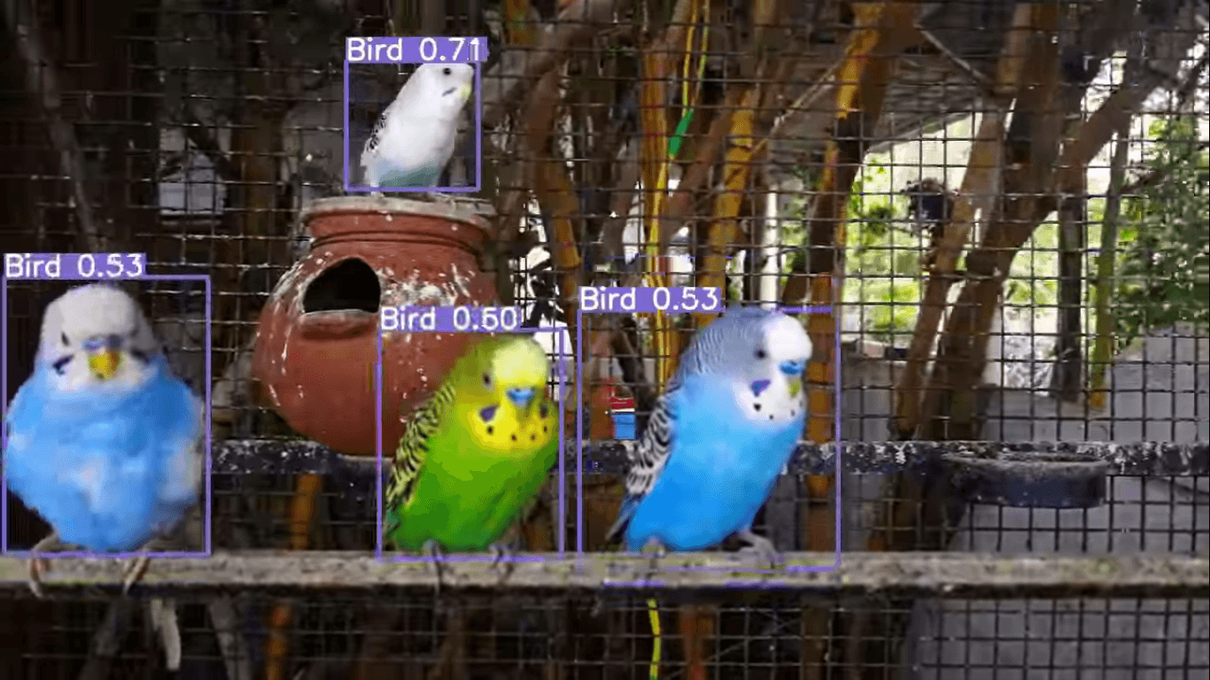Bird Detection Using OpenCV
